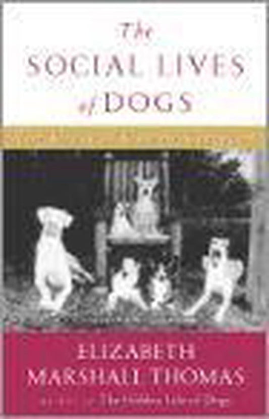 The Social Lives of Dogs