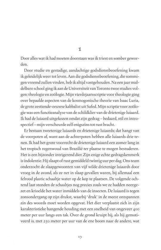 Het Leven Van Pi