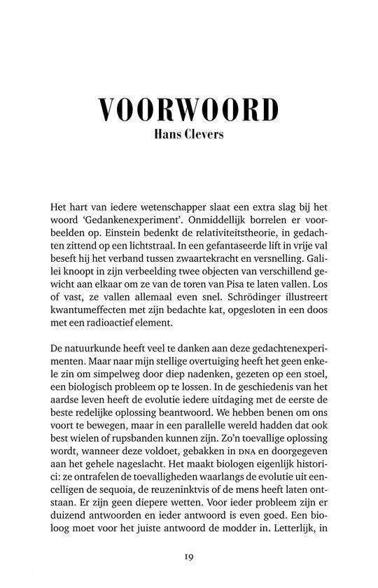 Serendipiteit