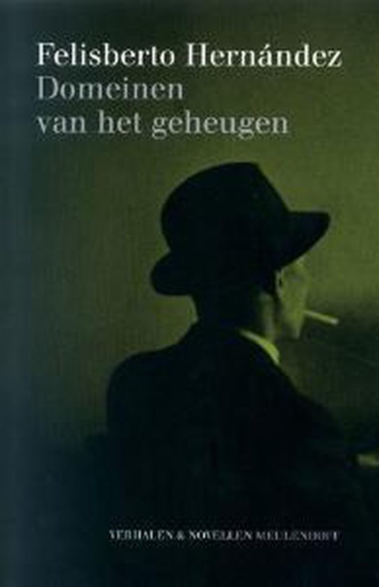 Domeinen van het geheugen