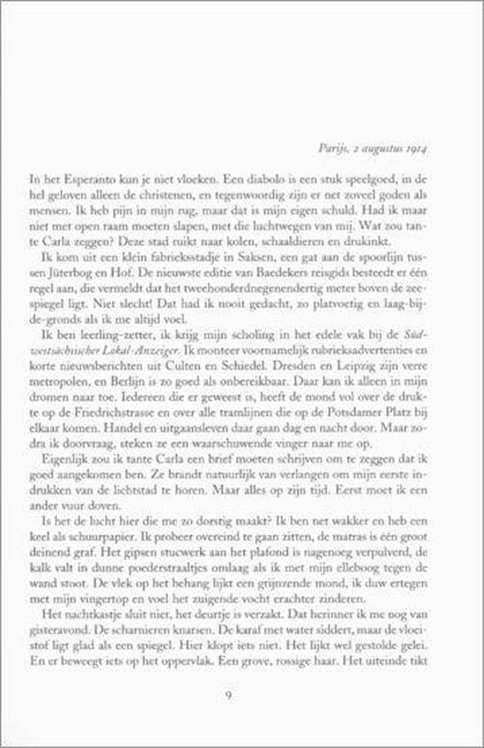 Duizeling - P. Holmer