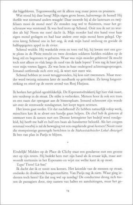 Duizeling - P. Holmer