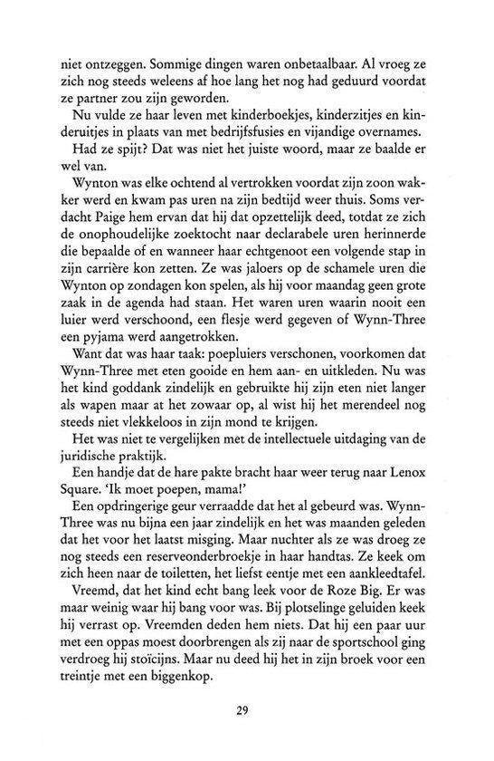 Het geheim der katharen