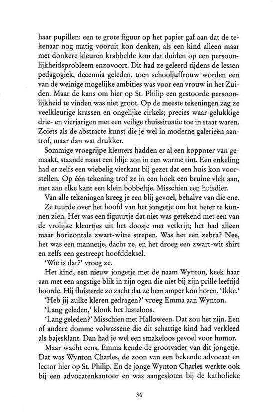 Het geheim der katharen