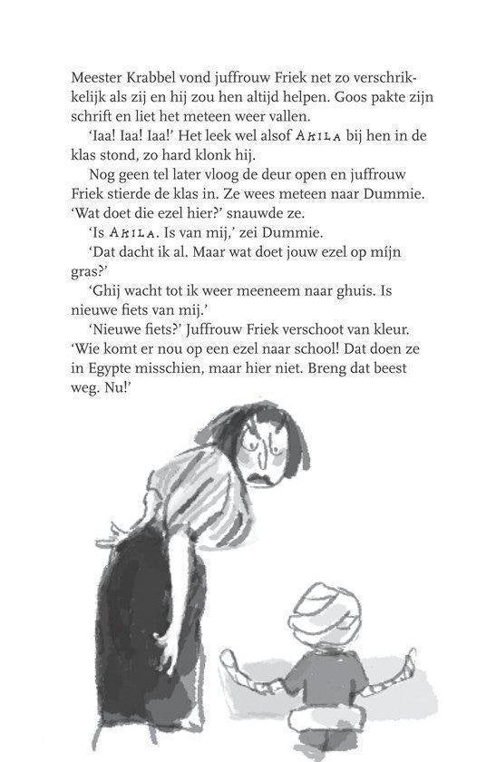 Dummie de mummie 4 - Dummie de mummie en het masker van Sebek-Ra