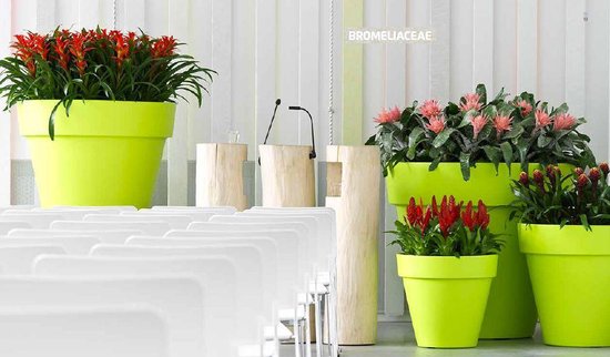 Boek - XL Plants Around