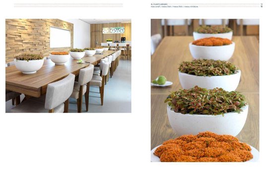 Boek - XL Plants Around