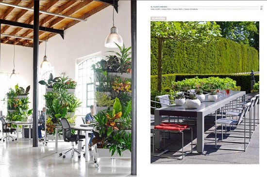 Boek - XL Plants Around