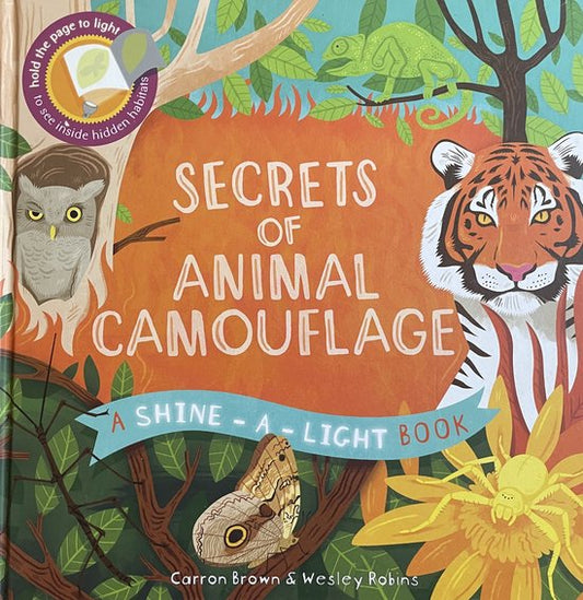 Shine-A-Light- Secrets of Animal Camouflage