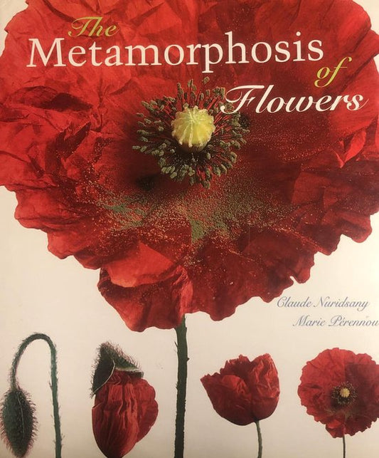 The Metamorphosis of Flowers