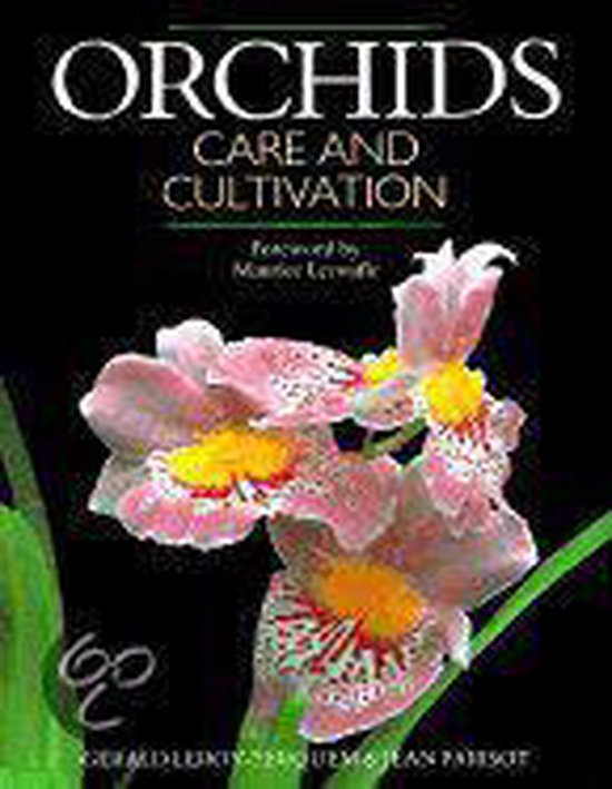 Orchids