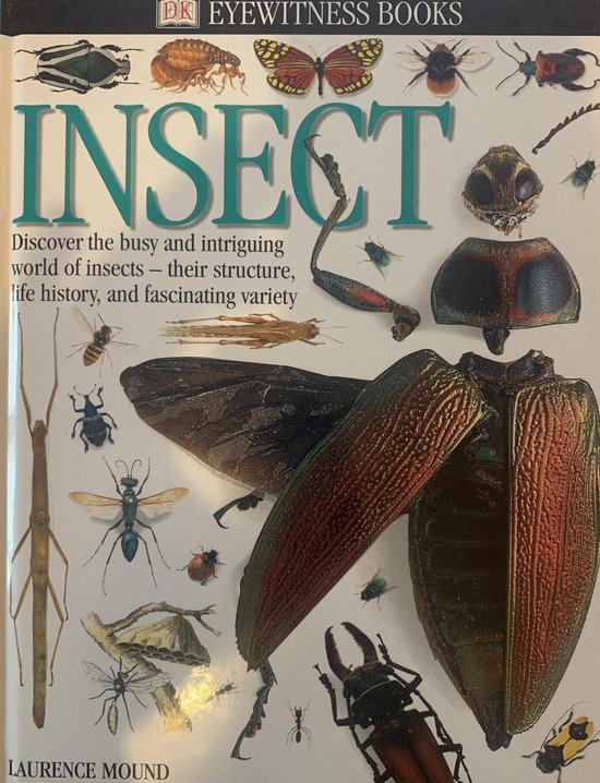 Insect