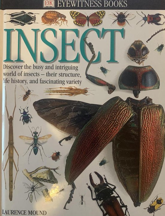 Insect