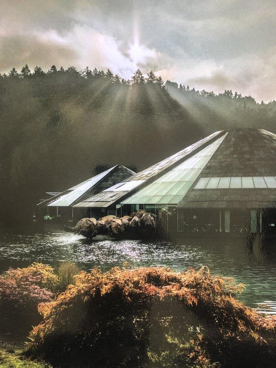 Die Bullen von Fuschl