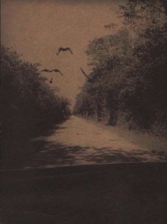 Bert Teunissen - on the Road, Everglades