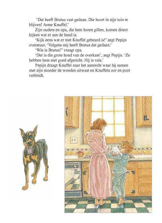 Pepijns Geheim