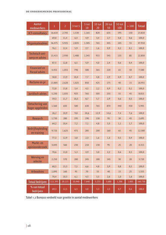 De ondernemende professional