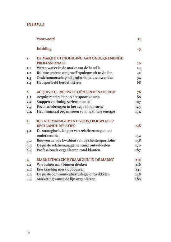 De ondernemende professional