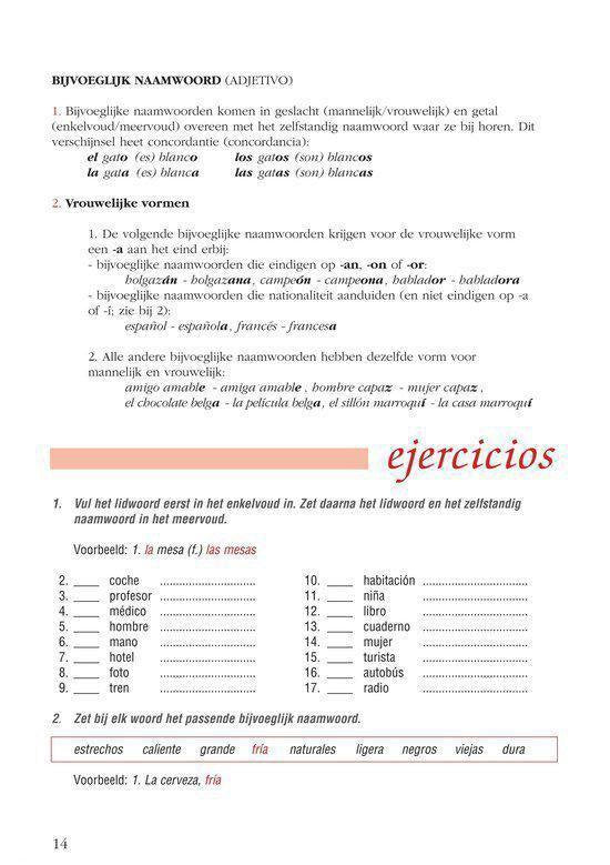 Grammatica in gebruik - Spaans