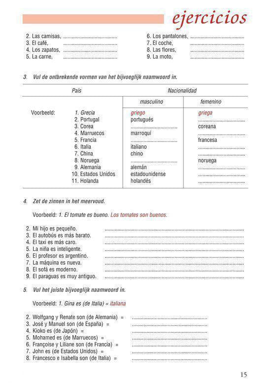 Grammatica in gebruik - Spaans