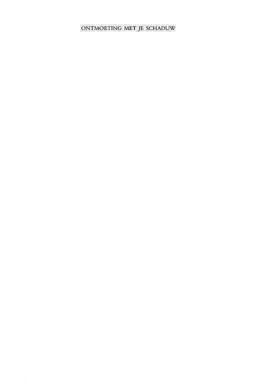 Ontmoeting met je schaduw