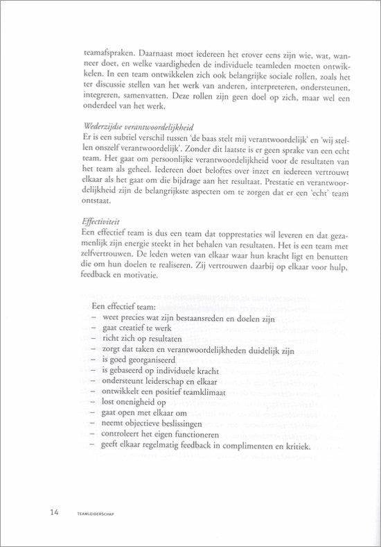 Professioneel leiderschap - Teamleiderschap