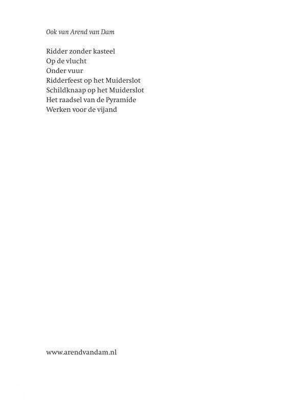 Gemaskerd naar het bal