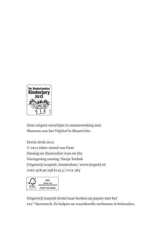 Gemaskerd naar het bal