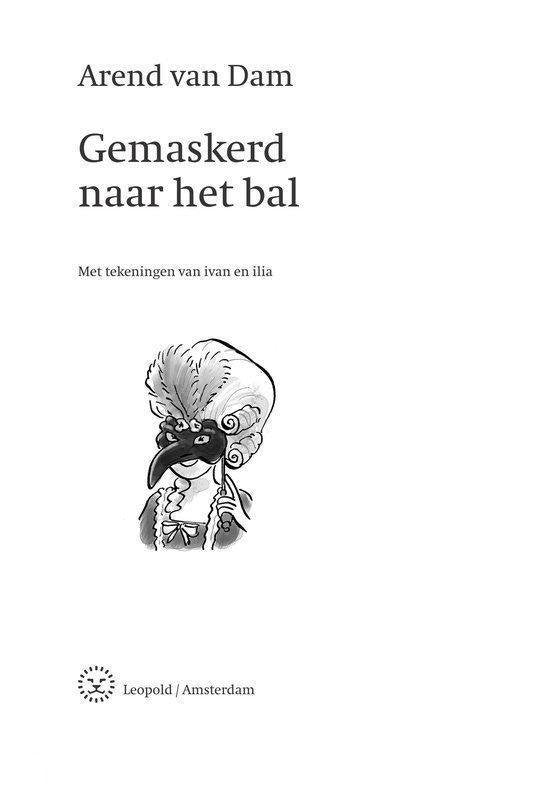 Gemaskerd naar het bal