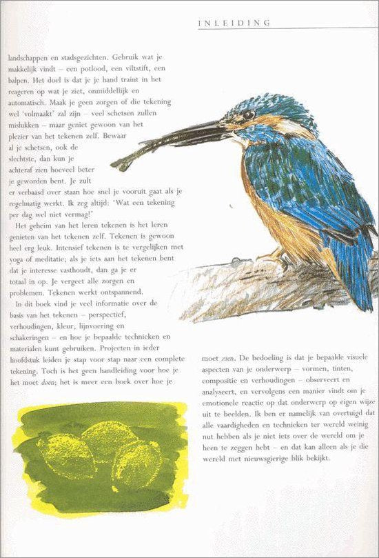 Zo leer ik tekenen - complete gids