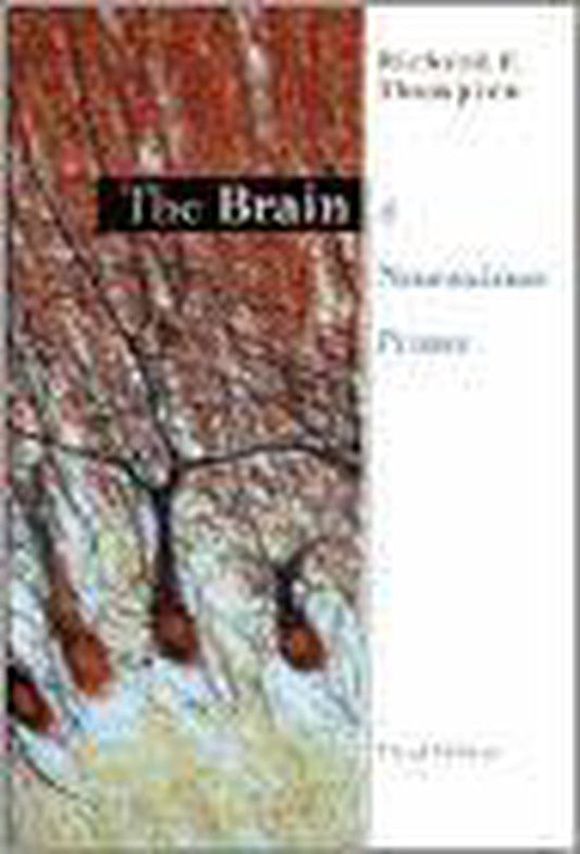 The Brain