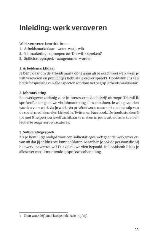 Het grote sollicitatiewerkboek