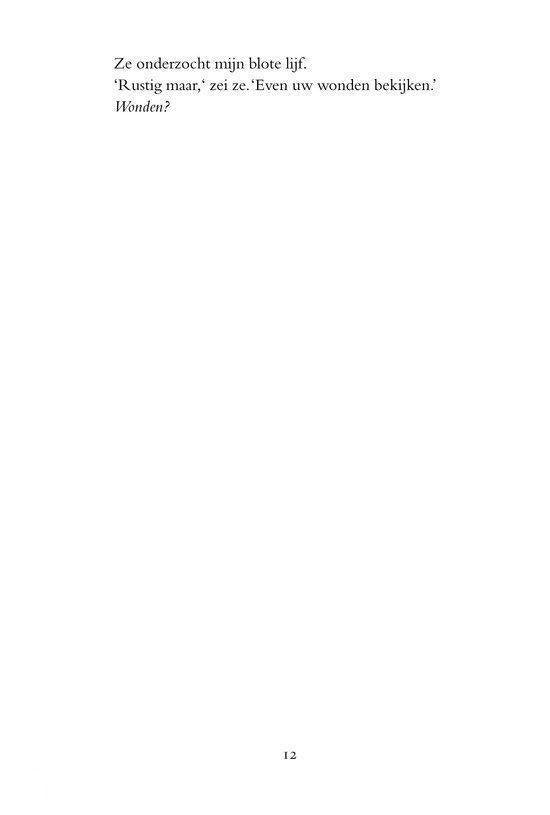 De tijger en de kolibrie