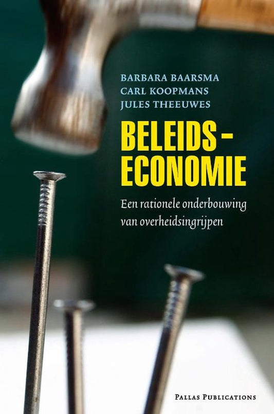 Beleidseconomie