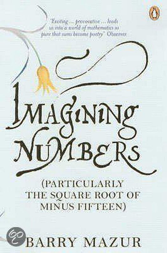 Imagining Numbers