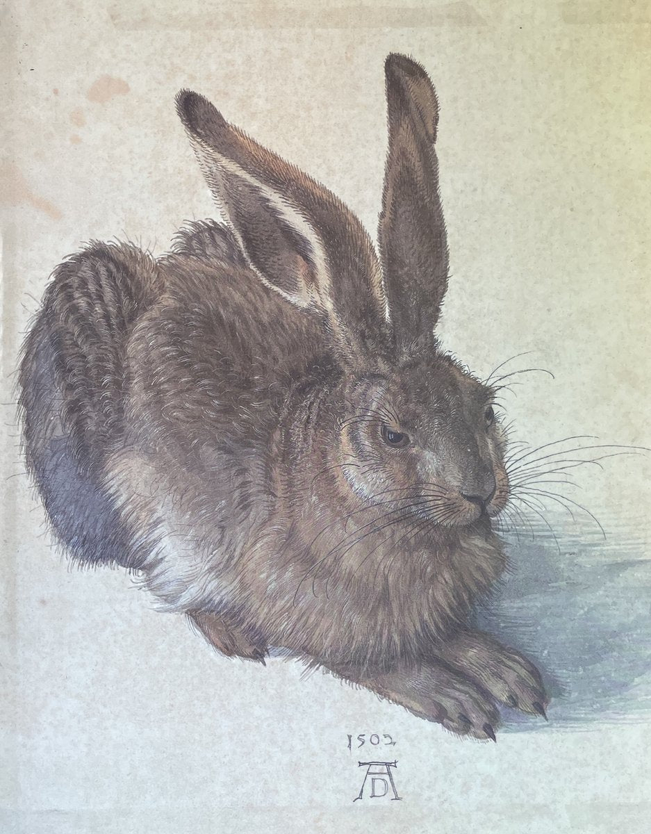 Durero: Obras Maestras De La Albertina